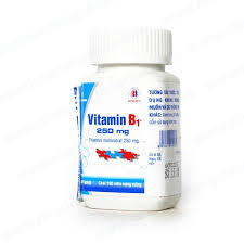 Domesco Vitamin B1 250mg [chai 100vien nang]